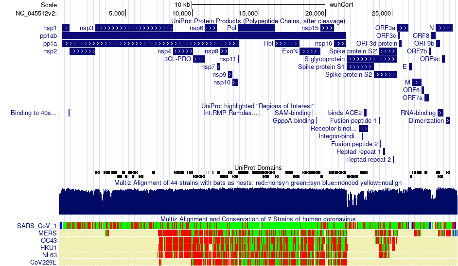 Some of the gene and conservation data on the Genome Browser