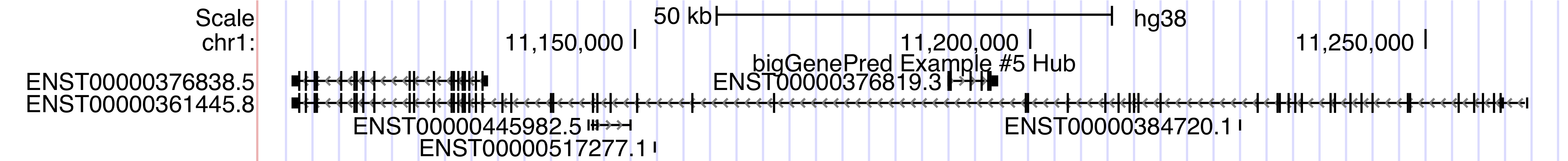 An image of a bigGenePred track hub on the Browser